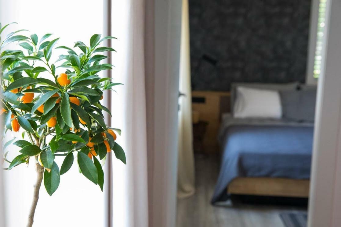 Close&Cosy 杜布罗夫尼克 外观 照片